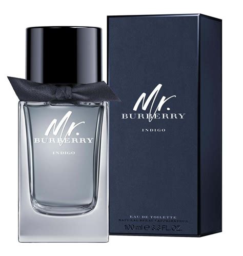 Buy Burberry Mr Burberry Indigo Eau De Toilette  